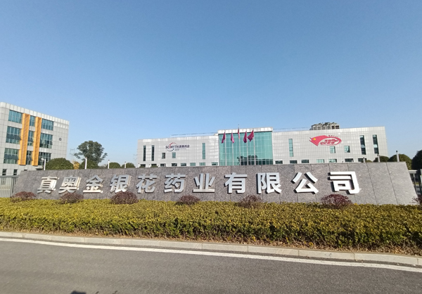 dns服务器